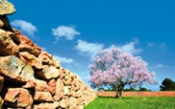Foto di paesaggio di campagna a Formentera 